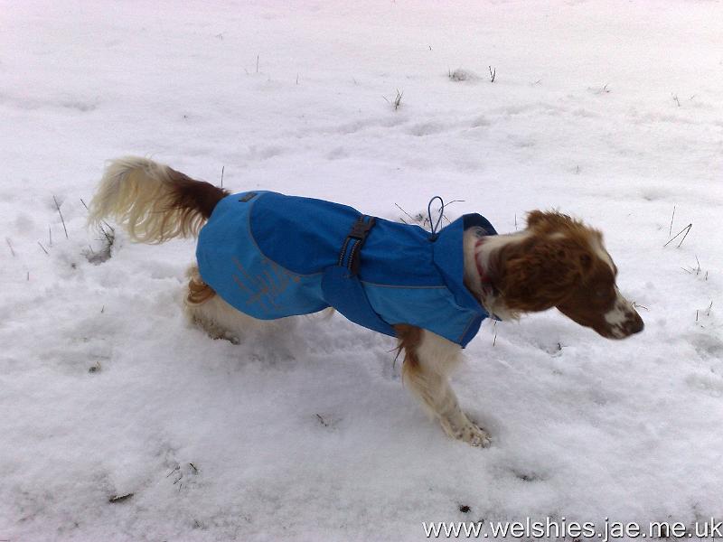 2010-01-06 03.jpg - Modelling our new coats